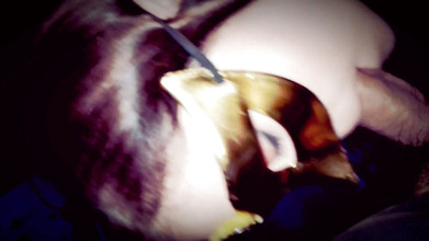 Sexoamateur: Blowjob 3