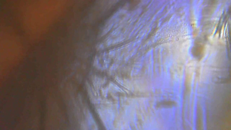 Oladi plenty tv: Dobrý ranní sex s mojí velkou prsa dívkou