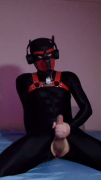 Remote Controlled Puppy Whimpers While Jerking off