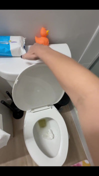 Peeing in My Toilet with a Close up View of My Pussy and Stream!!