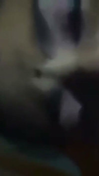 热辣的印度德西女仆在hindi音频中乞求性爱后一起尿肛门