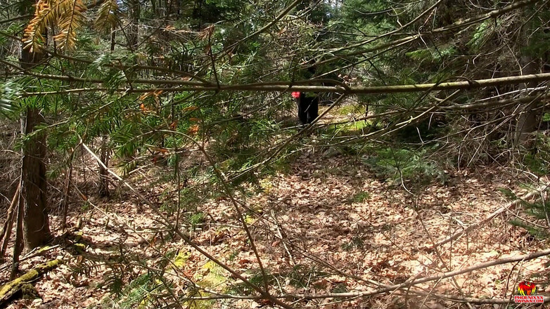 Phoenixxx: 小屋里的树林丹尼尔需要每一寸