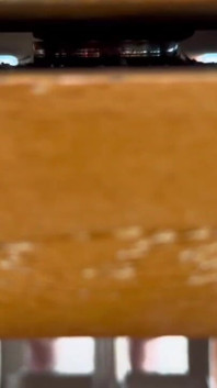 Above and Below the Table at the Beach