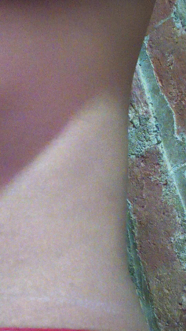 Moma: Video gợi cảm