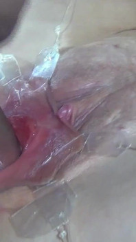 Close-up Jauh Menyebar Vagina Fuck