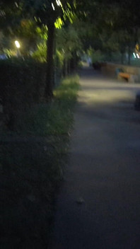 Blowjob Outdoor