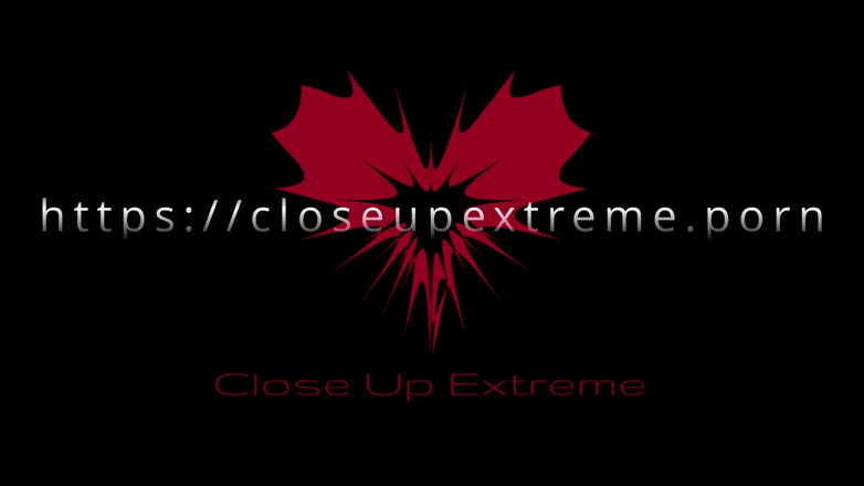 Close Up Extreme: Gros plan sur une chatte en train de manger et...