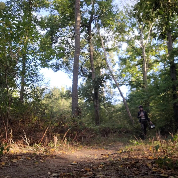 VaneSsa BiTCHx: Berjalan di Dalam Hutan