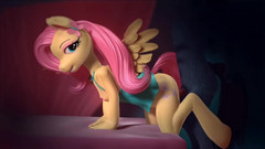 Velvixian 3 Furry: My Little Pony - Fluttershy（无声）（毛茸茸的性爱）