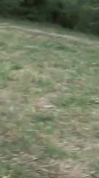 Nude in the Park - Part 01