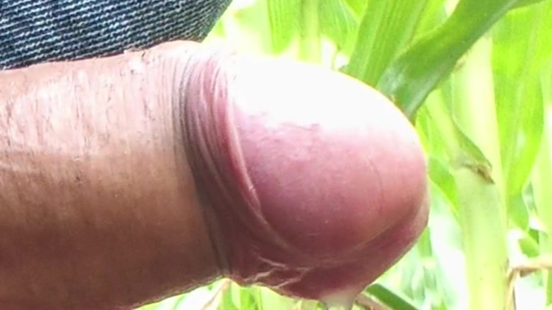 rkhydzstvcc: Worldwide Viral Desi Hunk Solo Action Vol 13 - Premium Faceless Amateur...