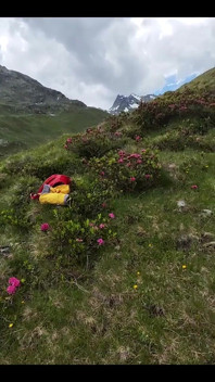 Having my sick sucked outdoor makes it extra magical
