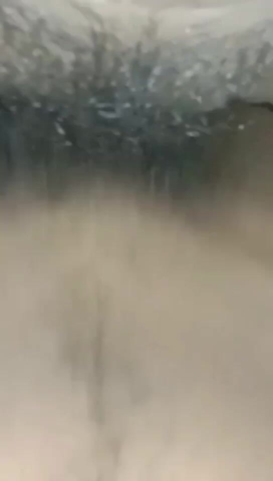 Png: Desi Stepsister's Village Sex Video