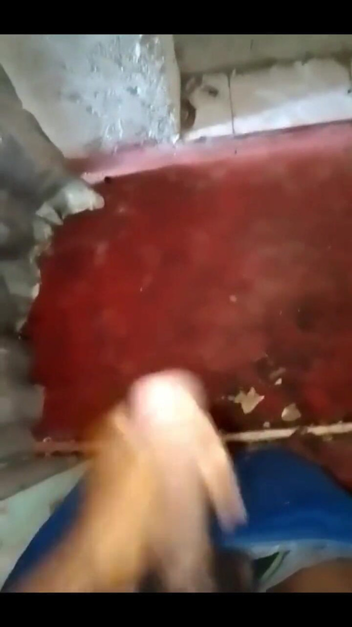 Haydenbbc: 867486332044197888.mp4