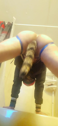 Maricas Tgirl Em Diversão Com Plug Anal