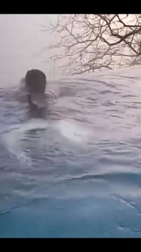 In the Pool