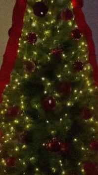 Xmas Is Coming