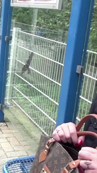 Seksi büyük götlü piliç arabada ve açık havada götten sikiliyor