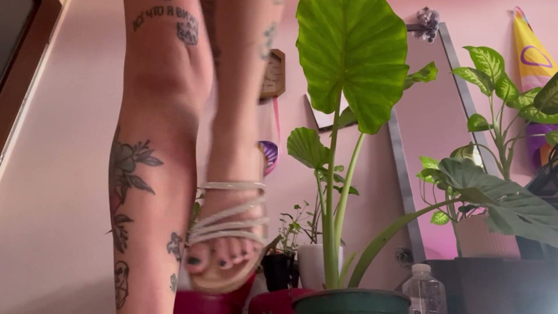 lanalovacutie: New Toes in Spark Shoes