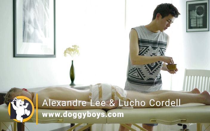 Doggy boys: Tiener twink jongens power neuken na erotische oliemassage