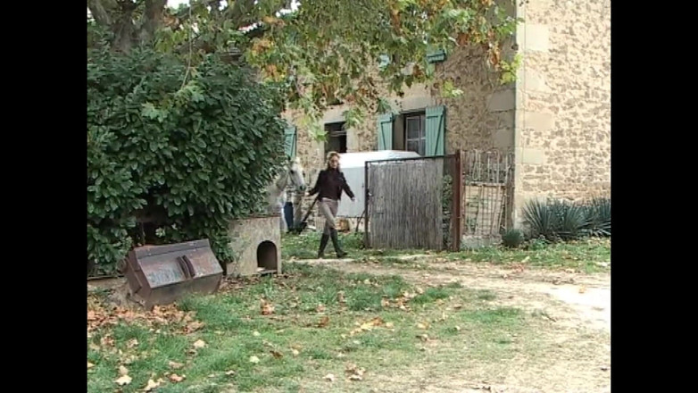 FM Video VOD: The Knights of Sex - (asal Full Movie Uncut)