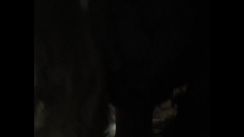 Miss Midnight X: आप आगे आने वाले के लिए तैयार नहीं हैं