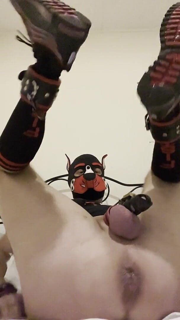 Gaping Gay Puppy Ass After Heavy Fisting Night (Needle CBT)