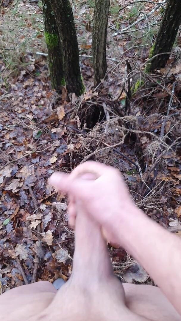 Timmyboy: Тіммібой, я пішов бігати в лісі і збудився