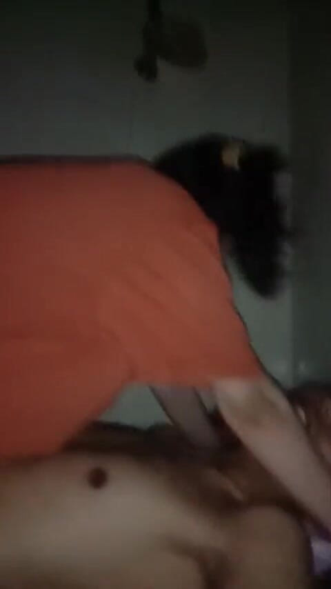 Famly sex: Šukej moji manželku v noci tak tvrdě