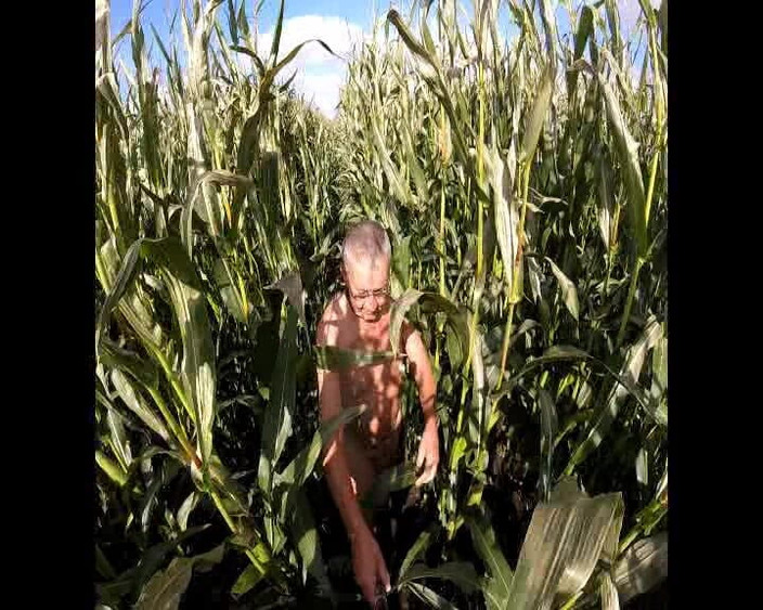 Andy: Maisspaziergang