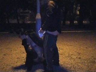 Fuck me like you hate me: Покорная шлюшка-жена принимает мою мочу в рот в общественном парке