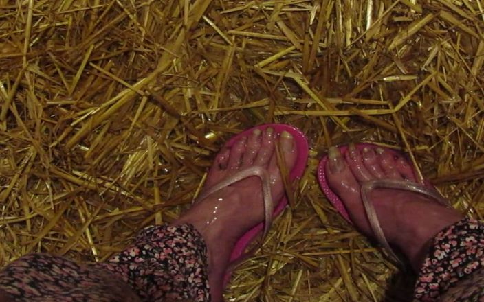 Barefoot Stables: Писси стабильные ступни