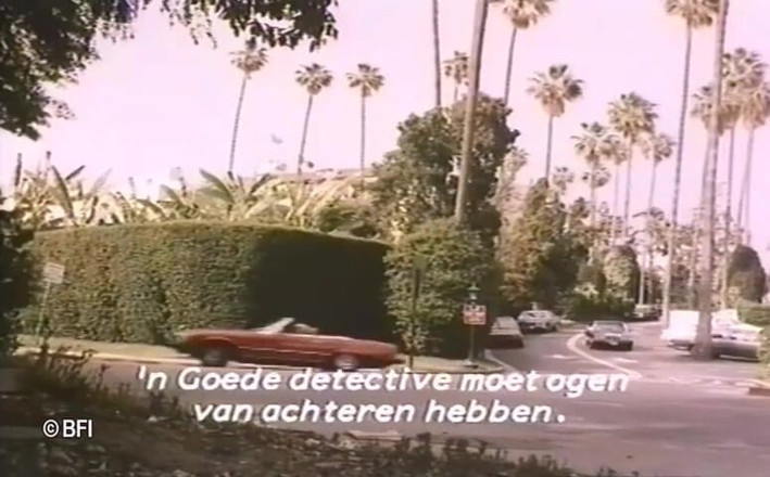 Vintage Vixens: Casetă sexuală retro din Beverly Hills - subtitrări în olandeză