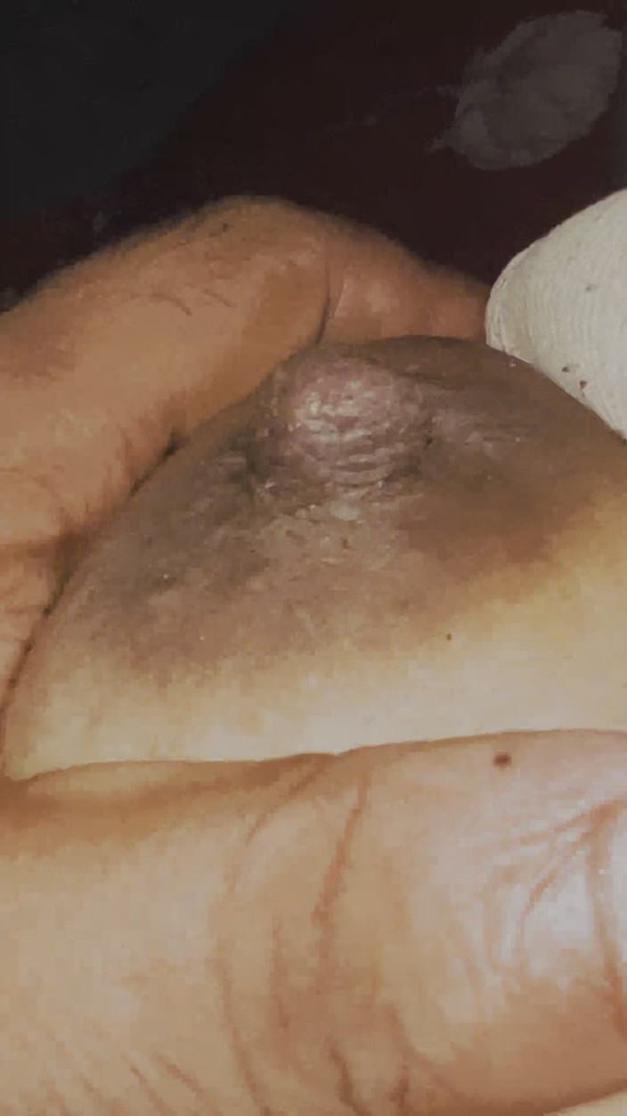 taslima81: Bhabhi desi très romantique et sexy du village