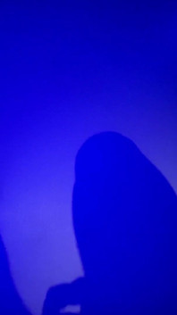 Blue Light Silhouette Pt 1 Enjoy