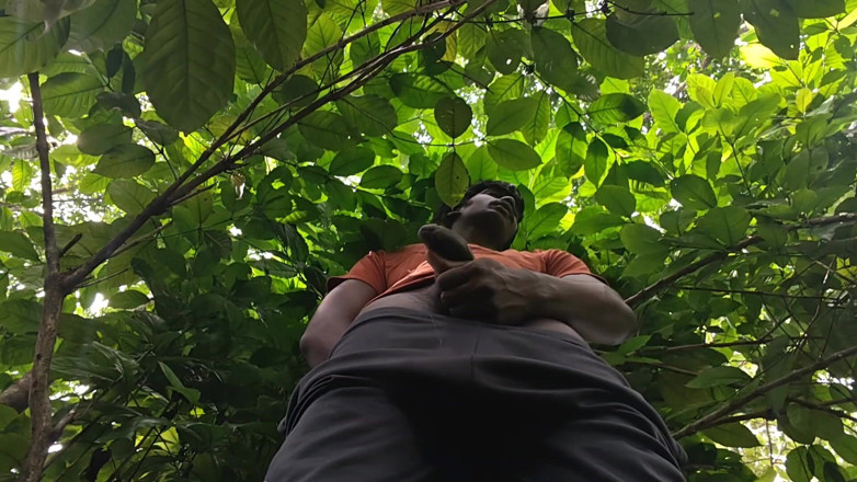 Charmer1999: Outdoor Jerking and Balls Play