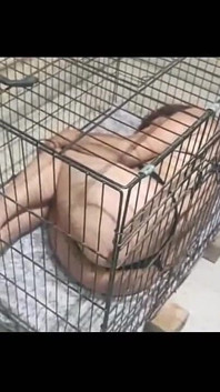 노예를 보여줘