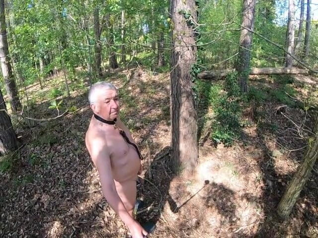 Andy: Parte 2 Camminata 2026