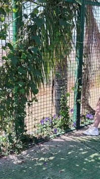 Swingers Maduros En La Cancha De Tenis Al Aire Libre, Gangbang Inverso