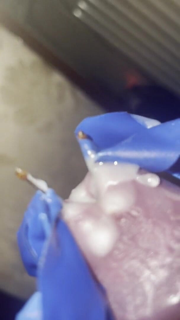 No limit cbt slave: Candle Wax Peehole Insert