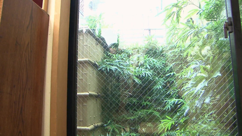 Japanese tight Pussies: Świetna lalka POV sex oralny