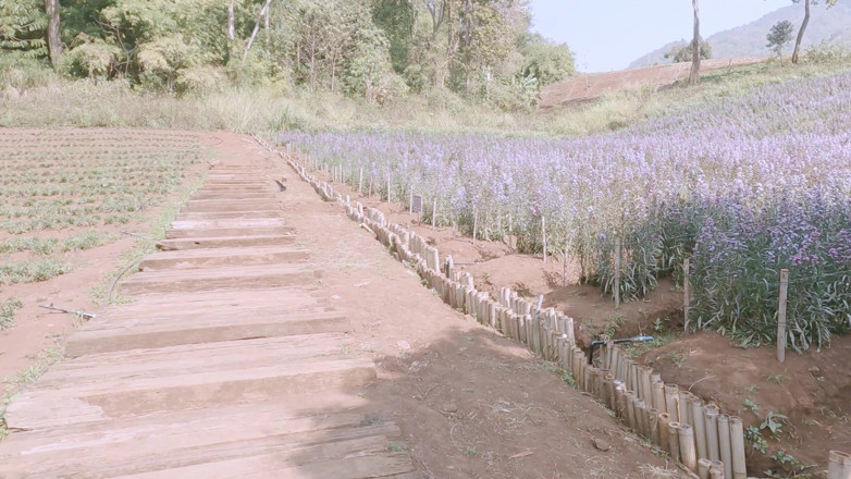 18_honey: Holiday Vlog Chiang Mai Thailand Mon Jodd Plblic Sex