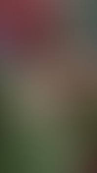 Brunette Beauties Have Lesbian Sex