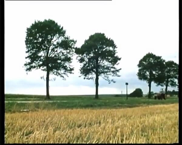 GERMAN PORN CLASSICS: Невиновность страны Lande, невиновность Видео Херзога