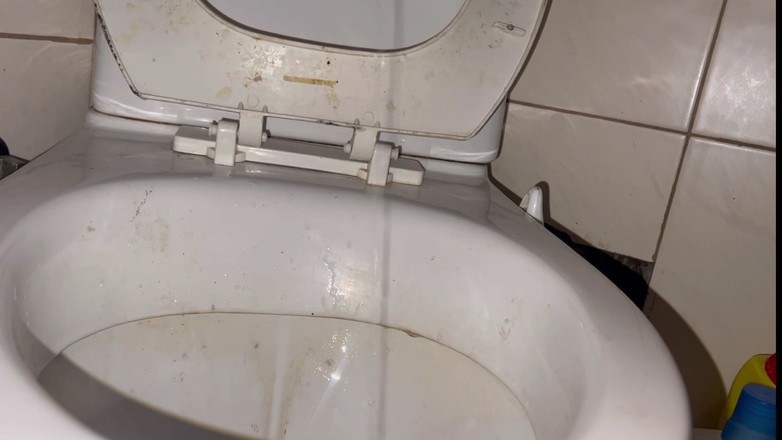 Elena917: オーガズムまでトイレを舐める