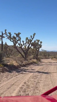 Fishnets in the Wild West