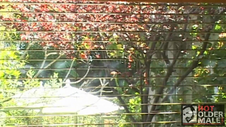 Pantheon men: down to Business: Jaren ve Scott