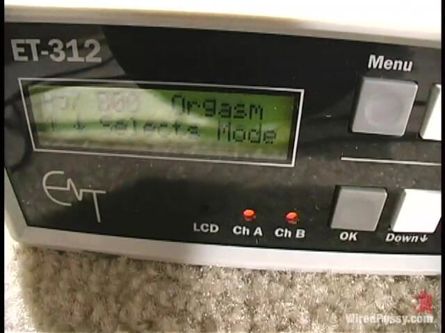 Wired Pussy by Kink: Maklaryn