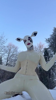 Snow Cow