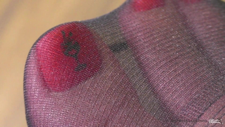 Mistress Legs: Just nylon toes and soles closeups